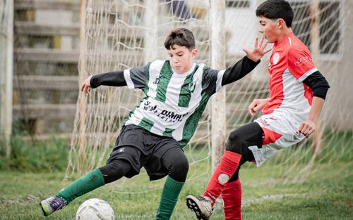 Inferiores · 2014