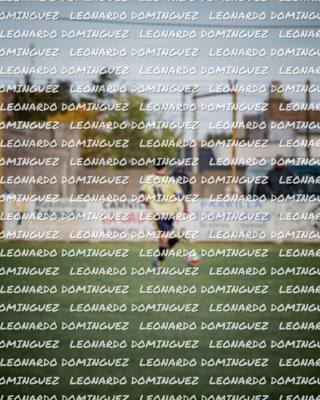 foto del evento