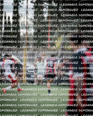 foto del evento